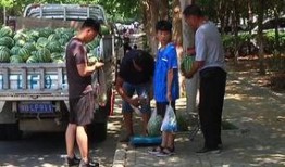 泗阳网红街吃瓜群众事件,一场网络舆论的风暴与反思